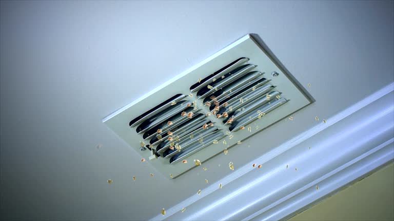 Best Air Duct Cleaning Near Me  in Taylors, SC